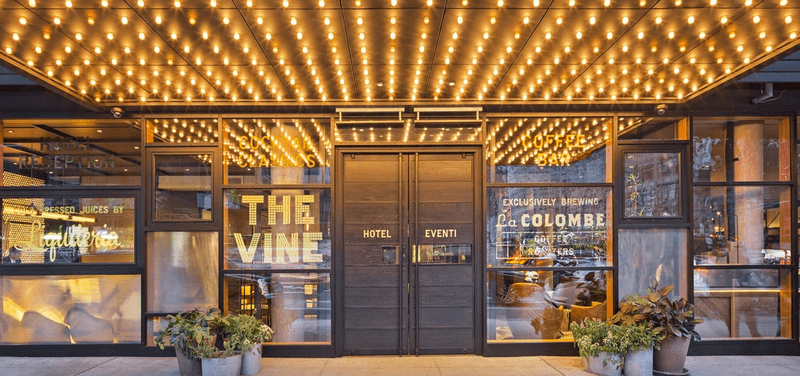 New York: The Vine is not your average hotel lounge