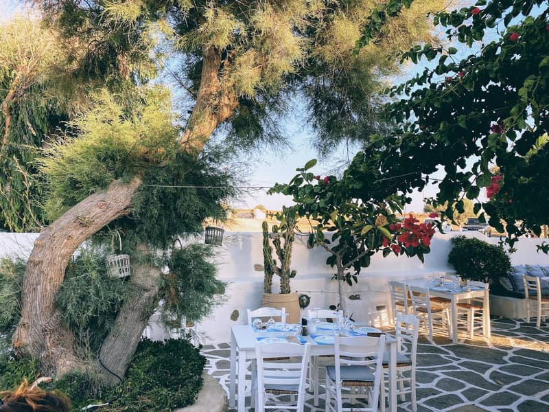 Siparos