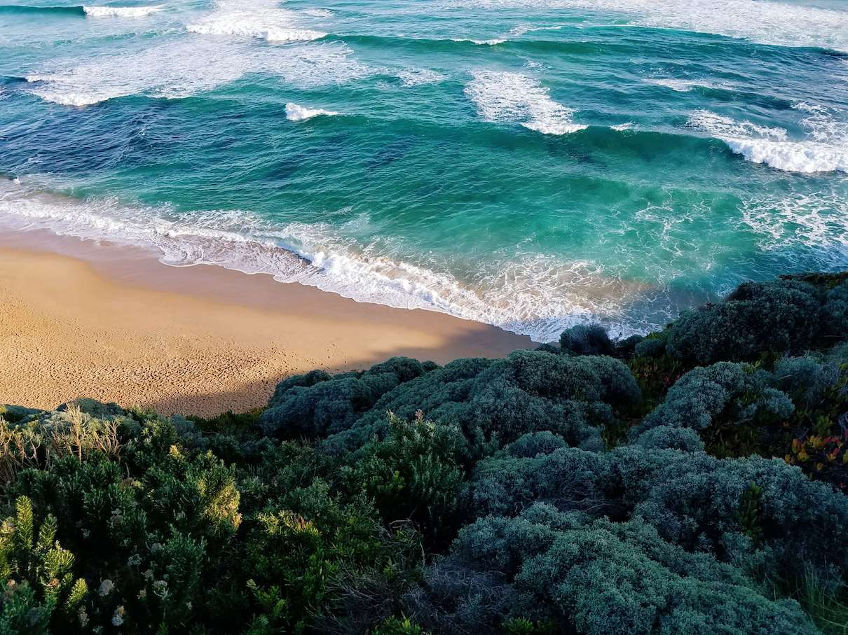 Australia: Top 10 Beaches in Australia that You Must Visit